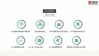 成都農(nóng)業(yè)品牌策劃營銷與產(chǎn)品包裝設(shè)計(jì)服務(wù)