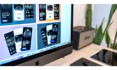 新產品研發項目管理的創新實踐 網絡技術服務的視角