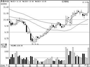 公司研究之機構關注個股 網絡技術服務行業分析